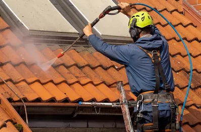 Démoussage et hydrofuge de toiture à Aussevielle